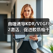 自噬诱导KDR/VEGFR-2激活,促进胶质瘤干细胞血管生成拟态形成(图1) 自噬诱导KDR/VEGFR-2激活,促进胶质瘤干细胞血管生成拟态形成(图1)