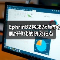 EphrinB2将成为治疗心肌纤维化的研究靶点(图2) EphrinB2将成为治疗心肌纤维化的研究靶点(图2)