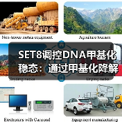 SET8调控DNA甲基化稳态:通过甲基化降解UHRF1和DNMT1(图3) SET8调控DNA甲基化稳态:通过甲基化降解UHRF1和DNMT1(图3)