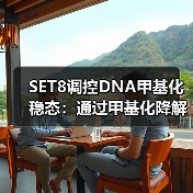 SET8调控DNA甲基化稳态:通过甲基化降解UHRF1和DNMT1(图4) SET8调控DNA甲基化稳态:通过甲基化降解UHRF1和DNMT1(图4)