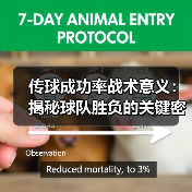 传球成功率战术意义：揭秘球队胜负的关键密码