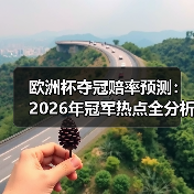 欧洲杯夺冠赔率预测:2026年冠军热点全分析(图4) 欧洲杯夺冠赔率预测:2026年冠军热点全分析(图4)