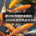 欧洲杯夺冠赔率预测:2026年冠军热点全分析(图3) 欧洲杯夺冠赔率预测:2026年冠军热点全分析(图3)
