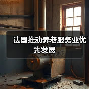 法国推动养老服务业优先发展(图3) 法国推动养老服务业优先发展(图3)