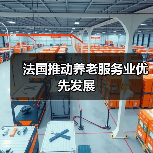 法国推动养老服务业优先发展(图2) 法国推动养老服务业优先发展(图2)