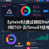 EphrinB2通过调控Stat3和TGF-β/Smad3信号的相互作用,调节心肌纤维化(图1) EphrinB2通过调控Stat3和TGF-β/Smad3信号的相互作用,调节心肌纤维化(图1)