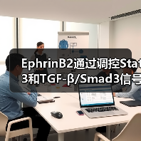 EphrinB2通过调控Stat3和TGF-β/Smad3信号的相互作用,调节心肌纤维化(图2) EphrinB2通过调控Stat3和TGF-β/Smad3信号的相互作用,调节心肌纤维化(图2)