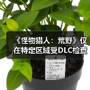 《怪物猎人：荒野》仅在特定区域受DLC检查才会掉帧