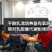 干酪乳清培养基有氧呼吸对乳酸菌代谢影响研究(图1) 干酪乳清培养基有氧呼吸对乳酸菌代谢影响研究(图1)