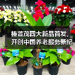 椿萱茂四大新品首发，开创中国养老服务新纪元