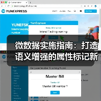 微数据实施指南：打造语义增强的属性标记新利器