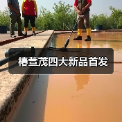 椿萱茂四大新品首发(图2) 椿萱茂四大新品首发(图2)