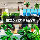 椿萱茂四大新品首发(图4) 椿萱茂四大新品首发(图4)