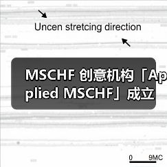 MSCHF 创意机构「Applied MSCHF」成立（图3）