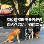 税收递延型商业养老保险试点启动,如何享受税收优惠?(图4) 税收递延型商业养老保险试点启动,如何享受税收优惠?(图4)