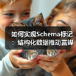 如何实现Schema标记：结构化数据推动富媒体的完美融合（图4）