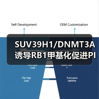 SUV39H1/DNMT3A诱导RB1甲基化促进PIN1表达与黑色素瘤进展(图4) SUV39H1/DNMT3A诱导RB1甲基化促进PIN1表达与黑色素瘤进展(图4)