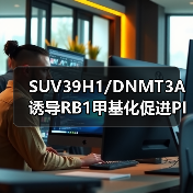 SUV39H1/DNMT3A诱导RB1甲基化促进PIN1表达与黑色素瘤进展(图1) SUV39H1/DNMT3A诱导RB1甲基化促进PIN1表达与黑色素瘤进展(图1)