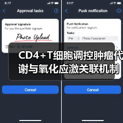 CD4+T细胞调控肿瘤代谢与氧化应激关联机制（图4）