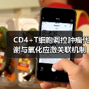 CD4+T细胞调控肿瘤代谢与氧化应激关联机制（图3）