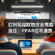 红树莓提取物改善高脂血症：PPAR信号通路机制（图3）
