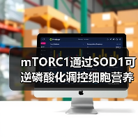 mTORC1通过SOD1可逆磷酸化调控细胞营养反应机制(图2) mTORC1通过SOD1可逆磷酸化调控细胞营养反应机制(图2)