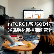 mTORC1通过SOD1可逆磷酸化调控细胞营养反应机制(图4) mTORC1通过SOD1可逆磷酸化调控细胞营养反应机制(图4)