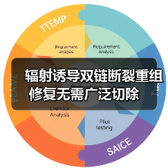 辐射诱导双链断裂重组修复无需广泛切除(图3) 辐射诱导双链断裂重组修复无需广泛切除(图3)