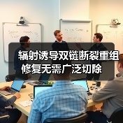 辐射诱导双链断裂重组修复无需广泛切除(图2) 辐射诱导双链断裂重组修复无需广泛切除(图2)