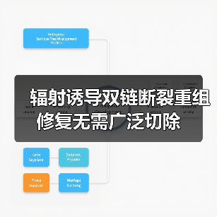 辐射诱导双链断裂重组修复无需广泛切除(图4) 辐射诱导双链断裂重组修复无需广泛切除(图4)