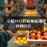 小鼠H22肝癌免疫调控作用研究(图3) 小鼠H22肝癌免疫调控作用研究(图3)
