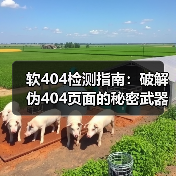 软404检测指南:破解伪404页面的秘密武器(图3) 软404检测指南:破解伪404页面的秘密武器(图3)