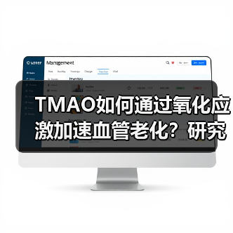 TMAO如何通过氧化应激加速血管老化？研究揭示内皮细胞衰老机制（图2）