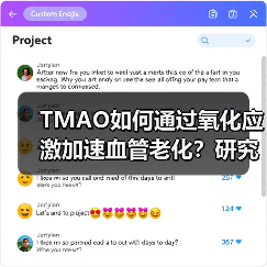 TMAO如何通过氧化应激加速血管老化？研究揭示内皮细胞衰老机制（图3）