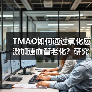TMAO如何通过氧化应激加速血管老化？研究揭示内皮细胞衰老机制（图4）