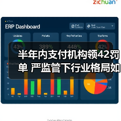 半年内支付机构领42罚单 严监管下行业格局如何洗牌(图4) 半年内支付机构领42罚单 严监管下行业格局如何洗牌(图4)