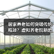 居家养老如何突破传统瓶颈?虚拟养老院新趋势解析(图2) 居家养老如何突破传统瓶颈?虚拟养老院新趋势解析(图2)