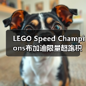 LEGO Speed Champions布加迪限量超跑积木套装评测(图4) LEGO Speed Champions布加迪限量超跑积木套装评测(图4)
