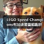 LEGO Speed Champions布加迪限量超跑积木套装评测(图2) LEGO Speed Champions布加迪限量超跑积木套装评测(图2)