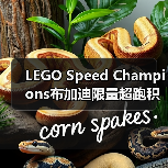 LEGO Speed Champions布加迪限量超跑积木套装评测(图1) LEGO Speed Champions布加迪限量超跑积木套装评测(图1)