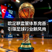 欧足联监管体系完善:引领足球行业新风尚(图4) 欧足联监管体系完善:引领足球行业新风尚(图4)
