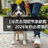 【球员合同细节条款揭秘:2026年你必须懂的关键点】(图1) 【球员合同细节条款揭秘:2026年你必须懂的关键点】(图1)