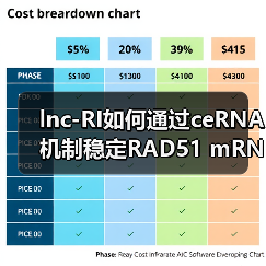 lnc-RI如何通过ceRNA机制稳定RAD51 mRNA调控DNA修复?(图3) lnc-RI如何通过ceRNA机制稳定RAD51 mRNA调控DNA修复?(图3)