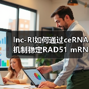 lnc-RI如何通过ceRNA机制稳定RAD51 mRNA调控DNA修复?(图1) lnc-RI如何通过ceRNA机制稳定RAD51 mRNA调控DNA修复?(图1)