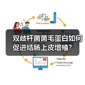 双歧杆菌菌毛蛋白如何促进结肠上皮增殖？（图2）