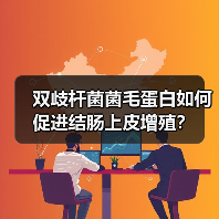 双歧杆菌菌毛蛋白如何促进结肠上皮增殖？