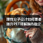 理性分子设计如何显著提升PET降解酶热稳定性?(图2) 理性分子设计如何显著提升PET降解酶热稳定性?(图2)