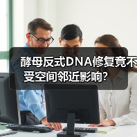 酵母反式DNA修复竟不受空间邻近影响?(图4) 酵母反式DNA修复竟不受空间邻近影响?(图4)