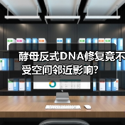 酵母反式DNA修复竟不受空间邻近影响?(图2) 酵母反式DNA修复竟不受空间邻近影响?(图2)