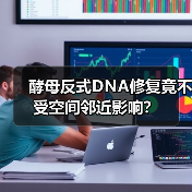 酵母反式DNA修复竟不受空间邻近影响?(图1) 酵母反式DNA修复竟不受空间邻近影响?(图1)